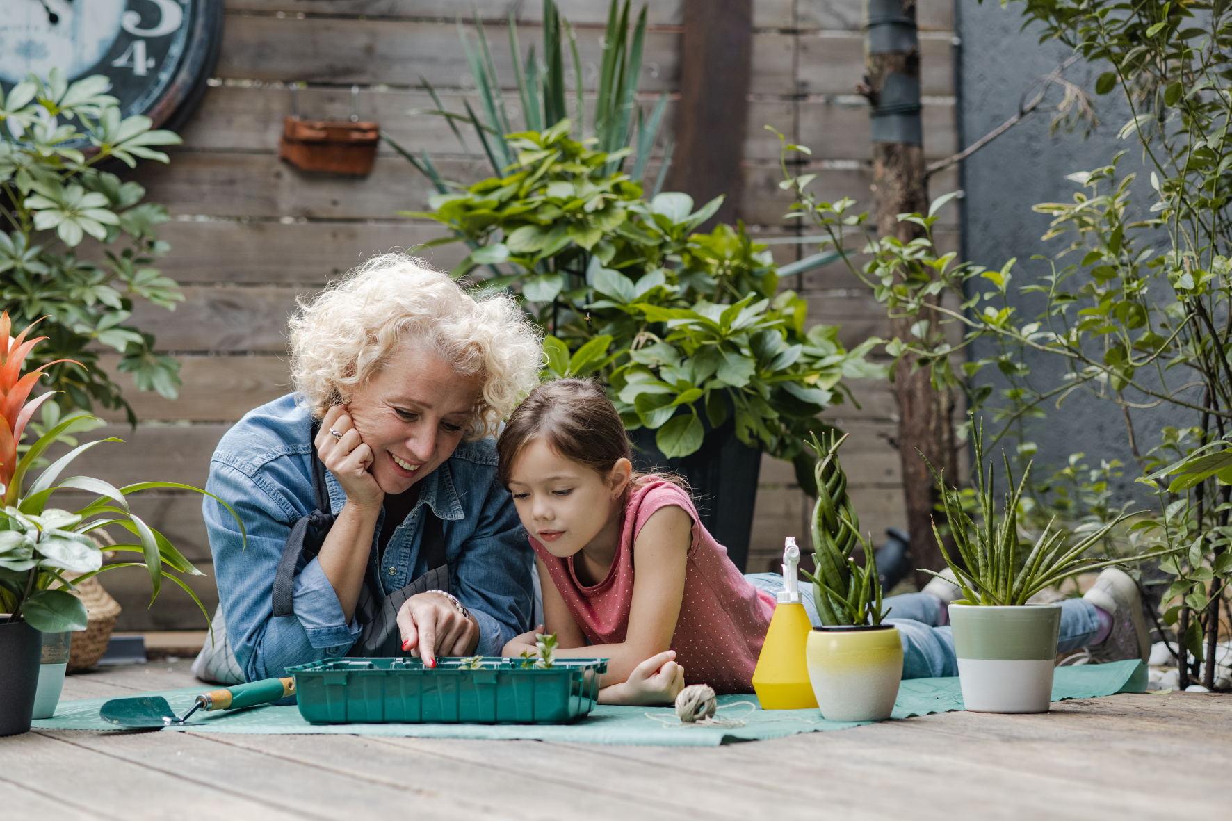 Horta Caseira: Descubra os Segredos para Cultivar Alimentos Frescos e Saudáveis em sua Própria Casa