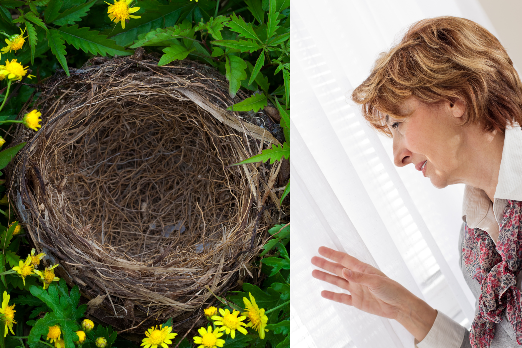 Síndrome do Ninho Vazio