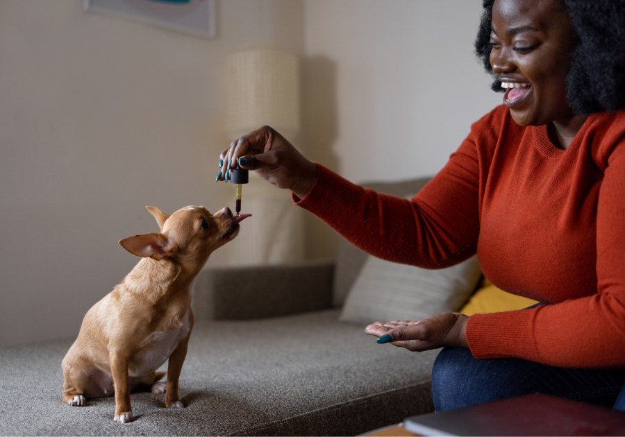 Cuidar do Seu Cachorro com Florais de Bach