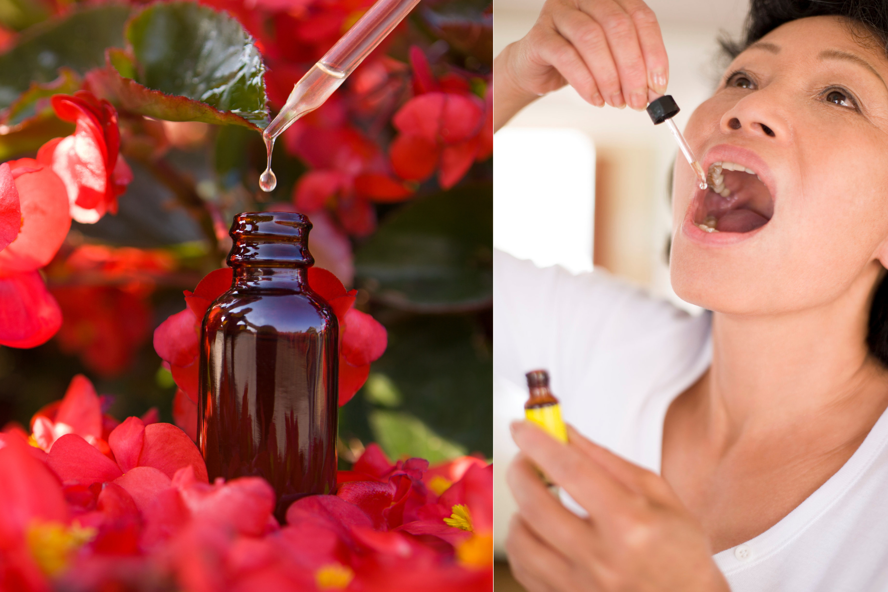 O Poder dos Florais de Bach para Equilibrar Emoções e Promover Saúde Plena