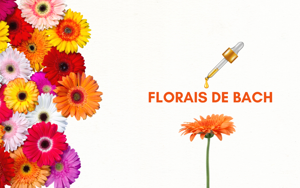 7 Razões para Você Usar Florais de Bach